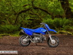 2025 Yamaha TTR 50
