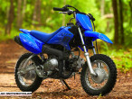 2025 Yamaha TTR 50