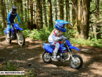 2025 Yamaha TTR 50