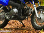 2025 Yamaha TTR 50