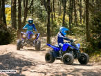 2025 Yamaha YFM 110 R
