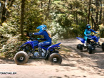 2025 Yamaha YFM 110 R