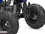 2025 Yamaha YFM 110 R