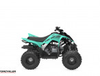 2025 Yamaha YFM 110 R