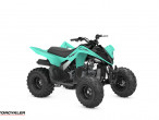 2025 Yamaha YFM 110 R
