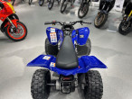 2025 Yamaha YFM 110 R