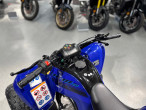 2025 Yamaha YFM 110 R