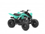 2025 Yamaha YFM 110 R