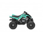 2025 Yamaha YFM 110 R