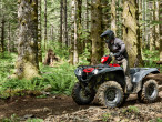 2025 Yamaha YFM 700