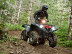 2025 Yamaha YFM 700