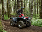 2025 Yamaha YFM 700