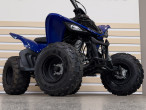 2025 Yamaha YFM 90 2025 Yamaha YFM 90