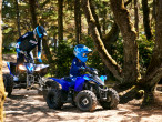 2025 Yamaha YFZ 50