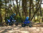 2025 Yamaha YFZ 50