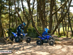 2025 Yamaha YFZ 50