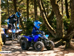 2025 Yamaha YFZ 50