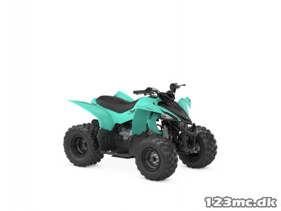 Yamaha YFZ 50