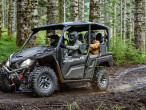 2025 Yamaha YXF 850 TA Wolverine X4