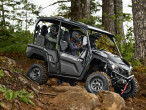 2025 Yamaha YXF 850 TA Wolverine X4
