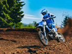 2025 Yamaha YZ 250 F