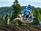 2025 Yamaha YZ 250 F
