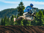 2025 Yamaha YZ 250 F