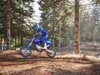 2025 Yamaha YZ 65
