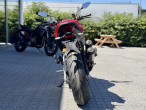 2026 Ducati Monster