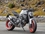 2026 Ducati Monster