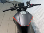 2026 Ducati Monster