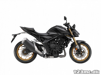 Honda CB 1000 Hornet SP