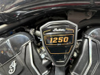 2026 Indian 101 Scout