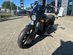 2026 Indian Scout Rogue