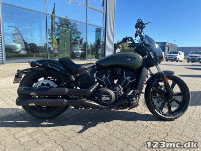 Indian Scout Rogue