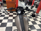2026 Indian Sport Scout