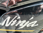 2026 Kawasaki Ninja 1100 SX