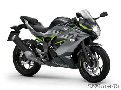 Kawasaki Ninja 125 ABS