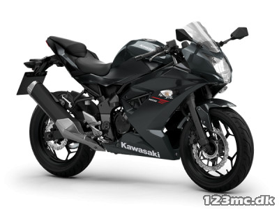 Kawasaki Ninja 125 ABS