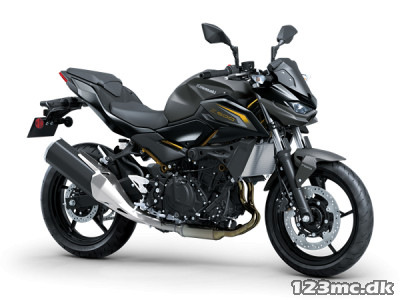 Kawasaki Z 500
