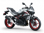 2026 Kawasaki Z 500 SE