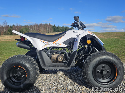 Linhai 110i Børneatv