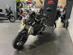 2026 QJ Motor SRK 800