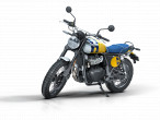 2026 Royal Enfield Bear 650
