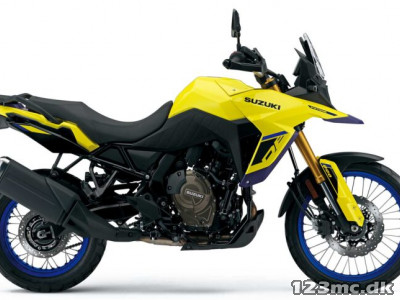 Suzuki DL 800 DE V-Strom
