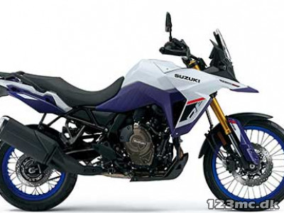 Suzuki DL 800 DE V-Strom