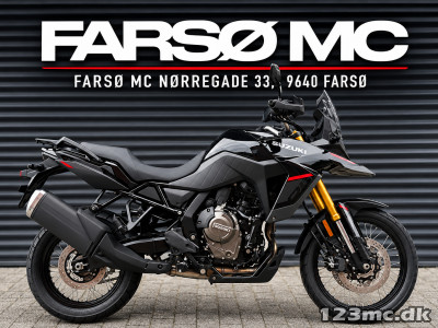 Suzuki DL 800 DE V-Strom