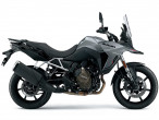 Suzuki DL 800 V-Strom