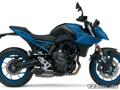 Suzuki GSX-8S