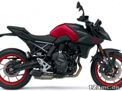 Suzuki GSX-8S